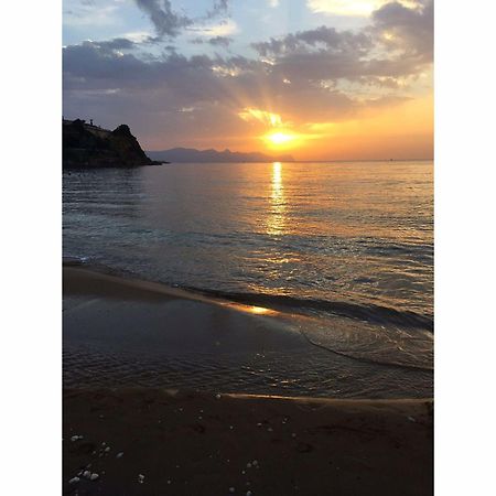 Le Palme Vacanze Trappeto  Exterior foto